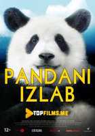 Pandani izlab Uzbek tilida 2020 tarjima kino skachat