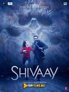 Shivay Uzbek tilida 2016 tarjima kino skachat HD