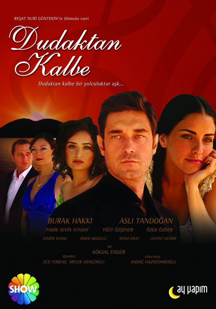 Muhabbat simfoniyasi 1, 2, 3, 4, 5, 6, 7, 8, 9, 10 qismlar Uzbek tilida 2007 serial skachat