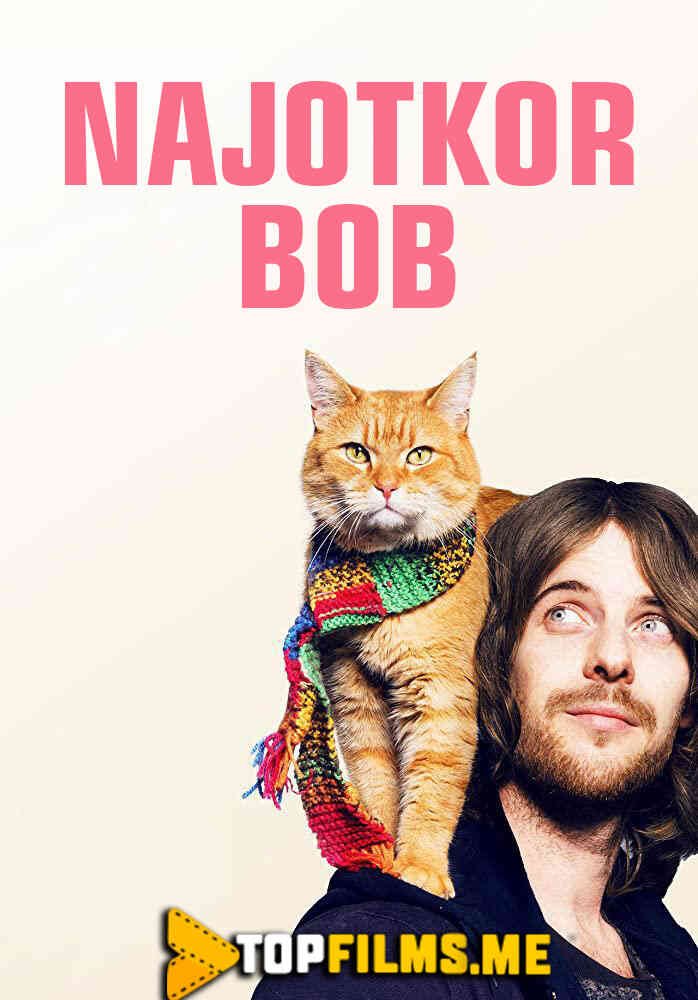 Najotkor bob Uzbek tilida 2016 kino skachat FHD