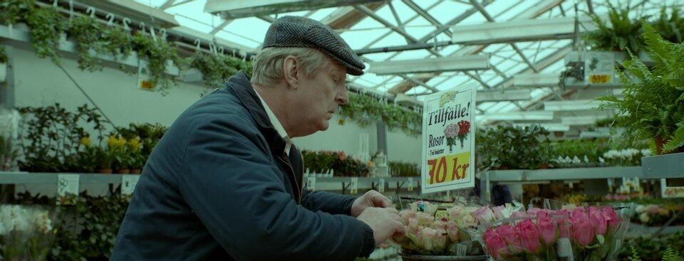 Uvening ikkinchi hayoti / Ove ismli odam Uzbek Tilida 2015 kino skachat FHD — kadr